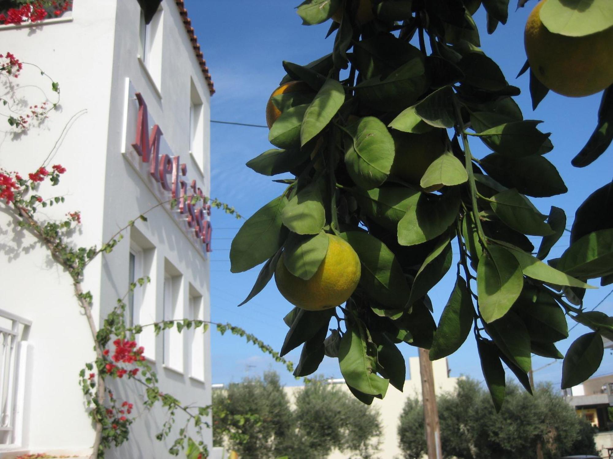 Melissa Apartments, Studios & Suites Malia Exteriér fotografie